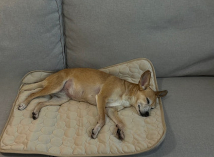 🐾ChillPad™- Den svala favoritplatsen för din hund